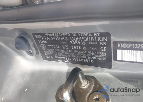 2005 Kia Sedona Ex/Lx z USA, uszkodzony, nr VIN KNDUP132956689010